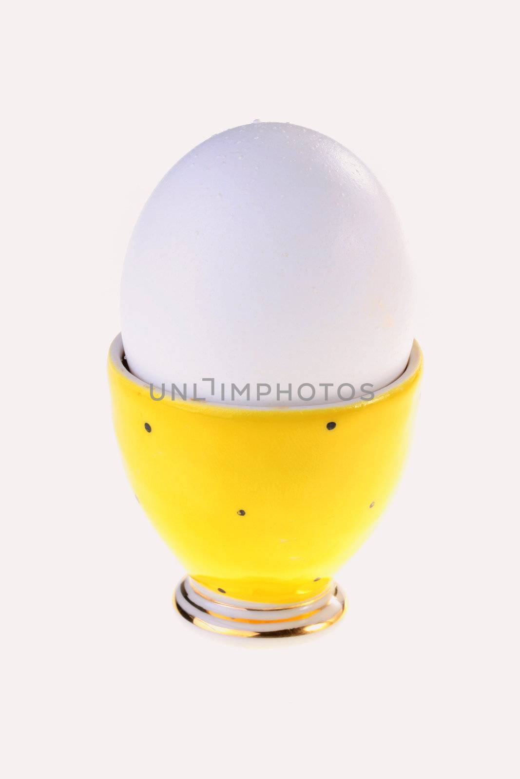 Egg in a yellow support for eggs on a white background.