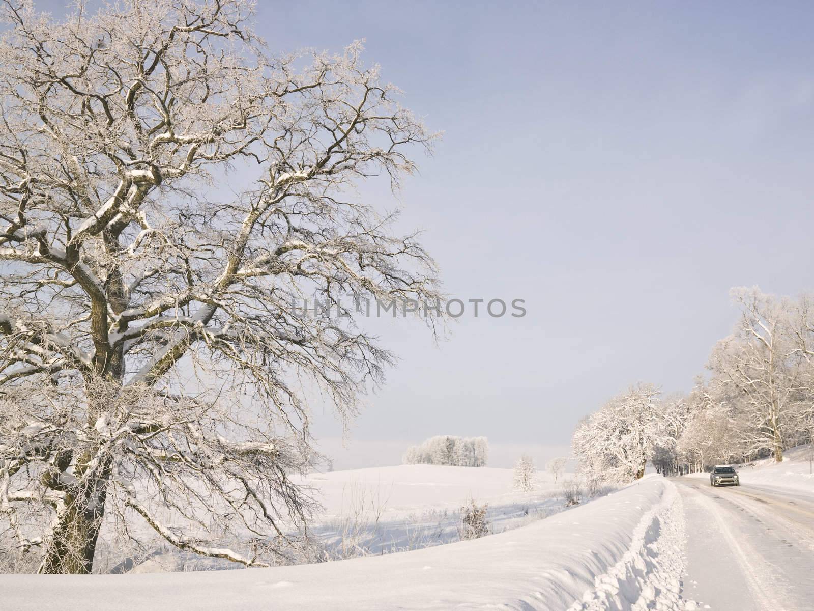 Winterview with a car on the road