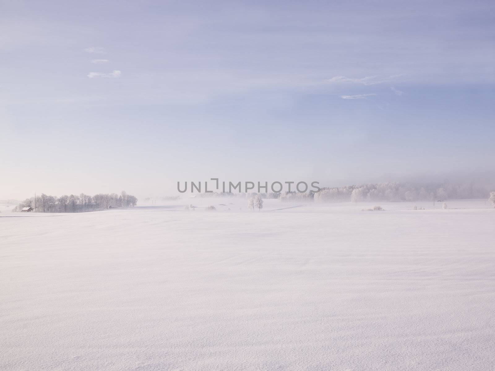 Winter landscape with fog
