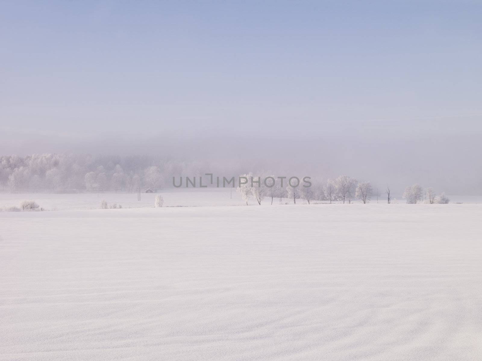 Winter landscape with fog