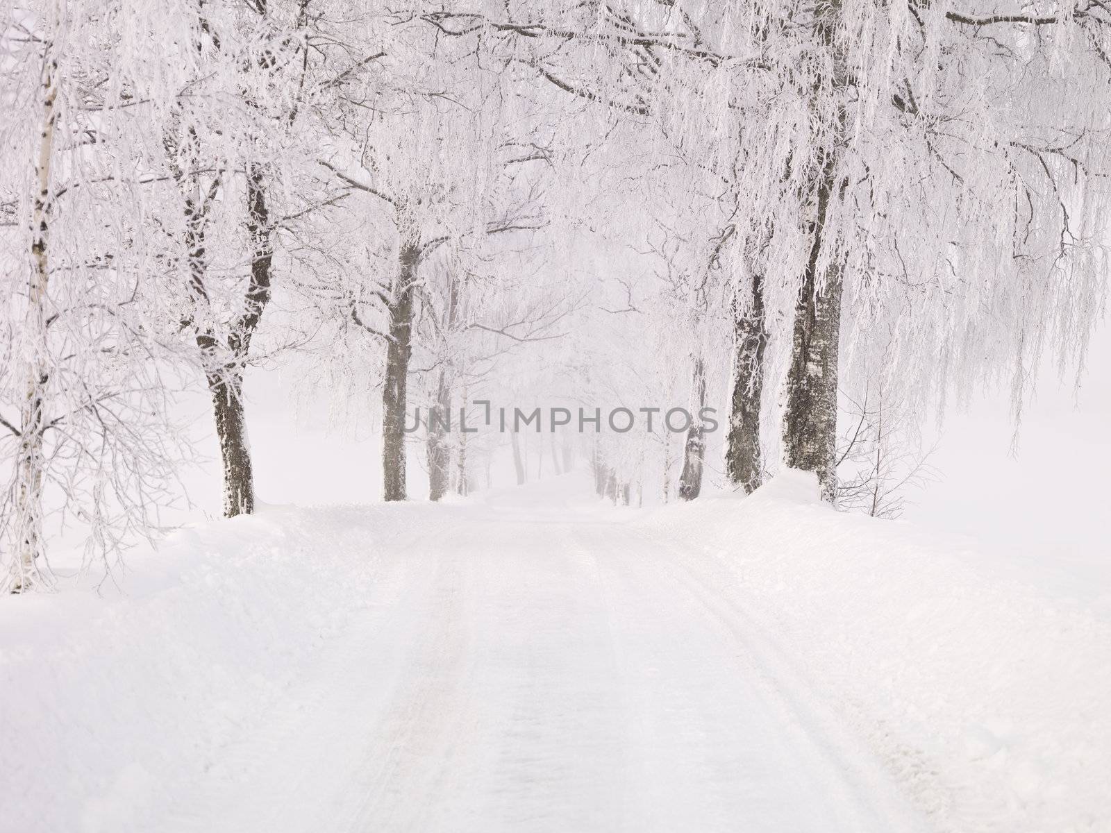 Winter road by gemenacom