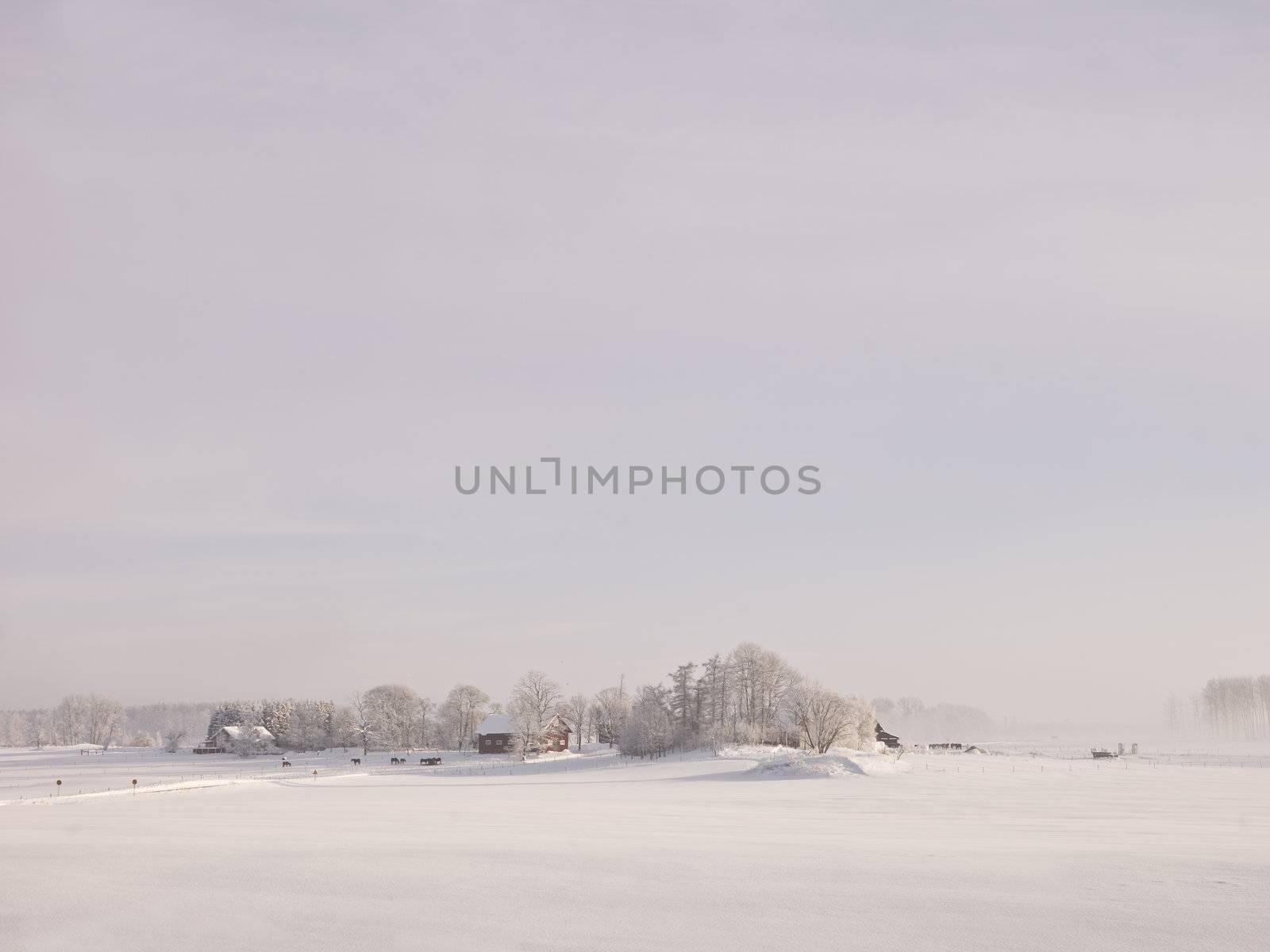 Farm in a winter landscape