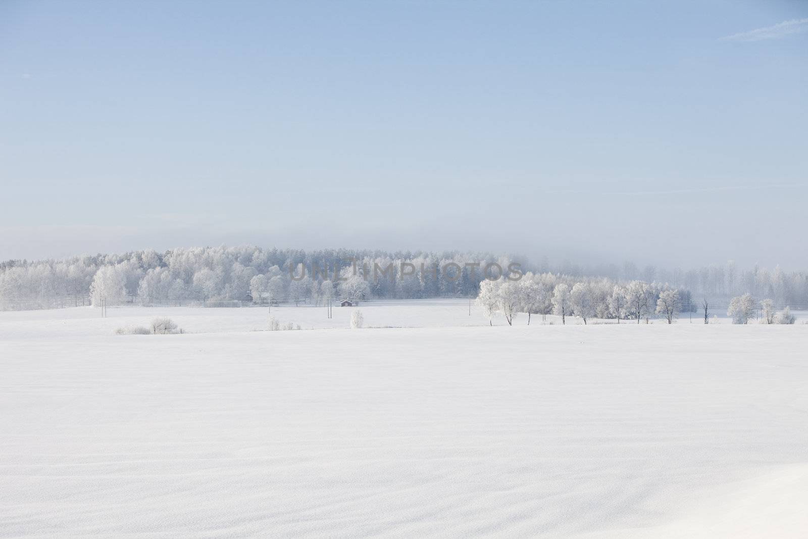 Snowy winter landscape