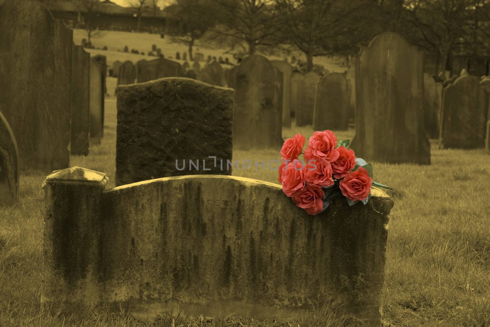 Blank headstone in graveyard (sepia) with bunch of red roses