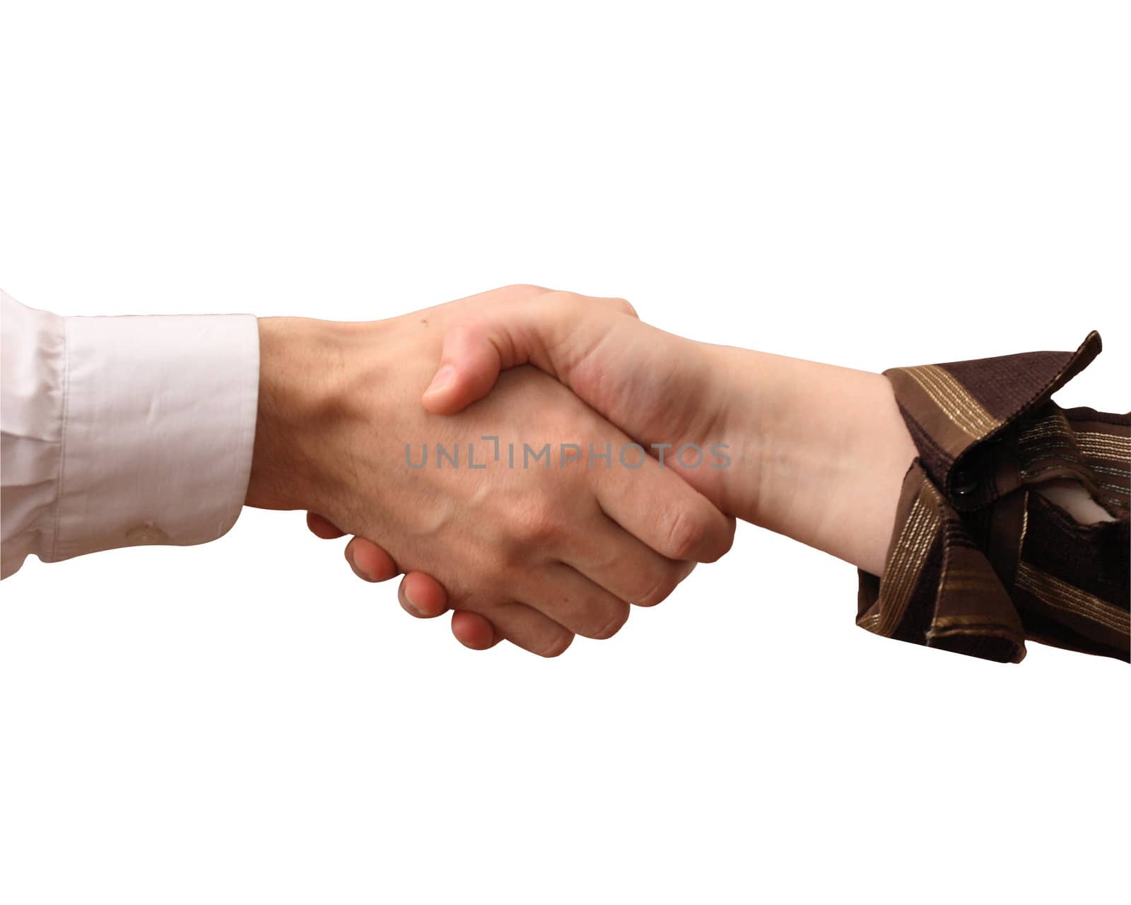 handshake by sagasan