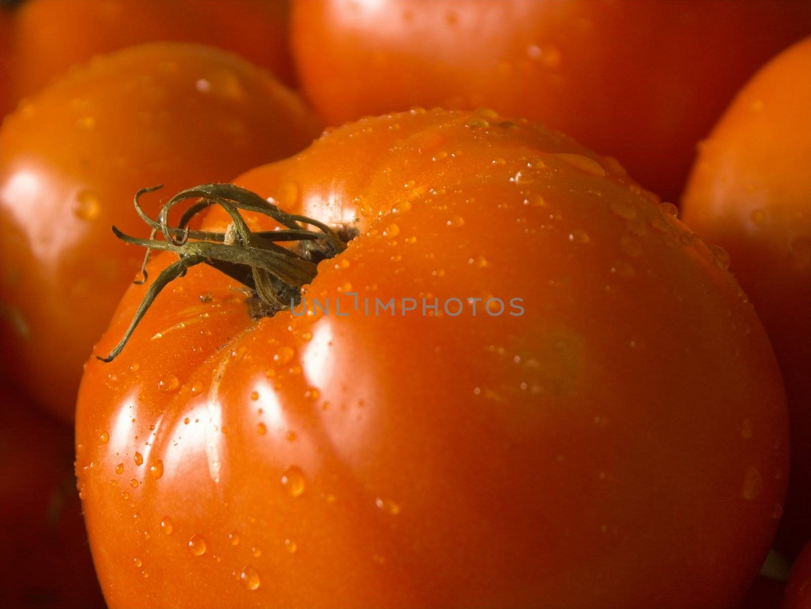 closeup of a wet tomatoe