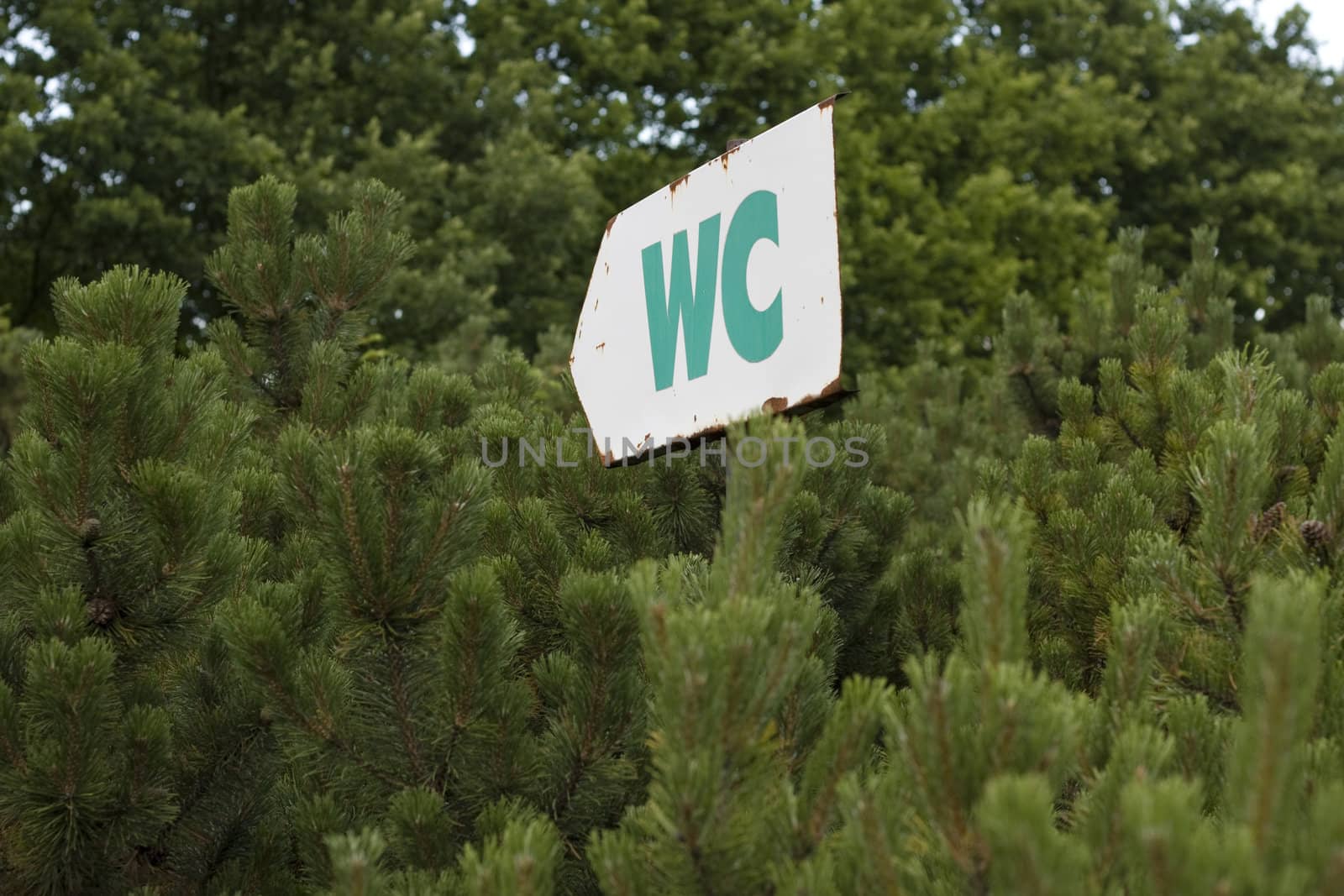 arrow sign showing WC direction
