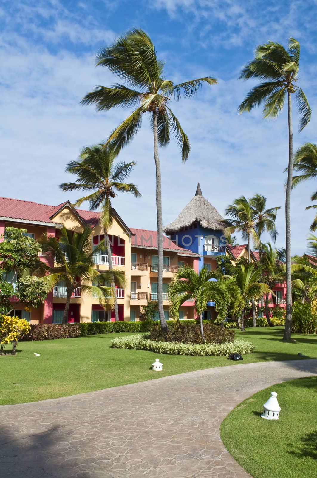 Palm trees surrounding a tropical resort in Dominican Republic.