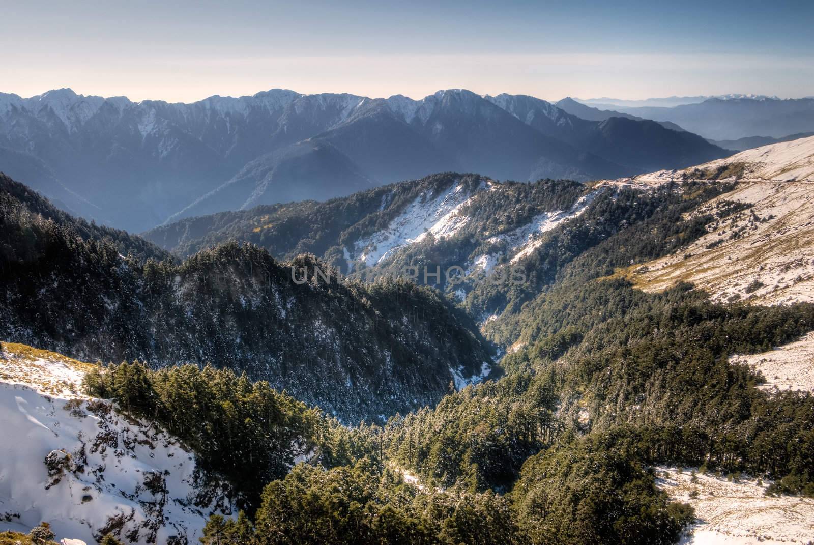 Winter forest scenic of iced in snow white mountain.