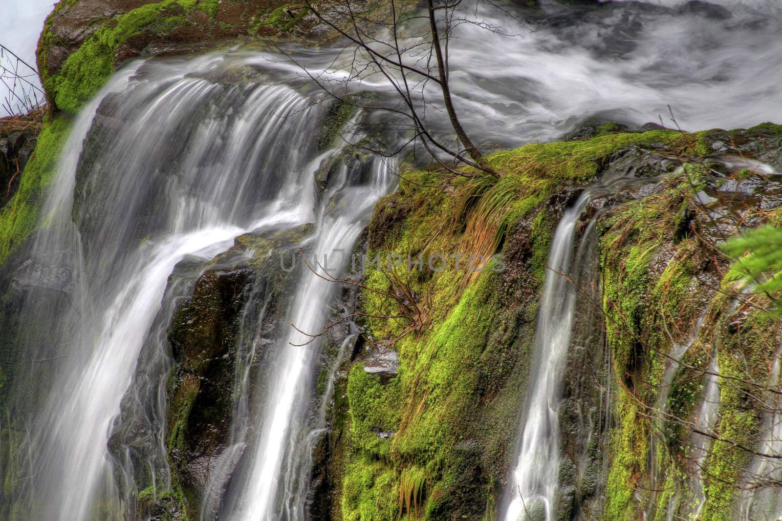 Panther Creek Falls by Davidgn