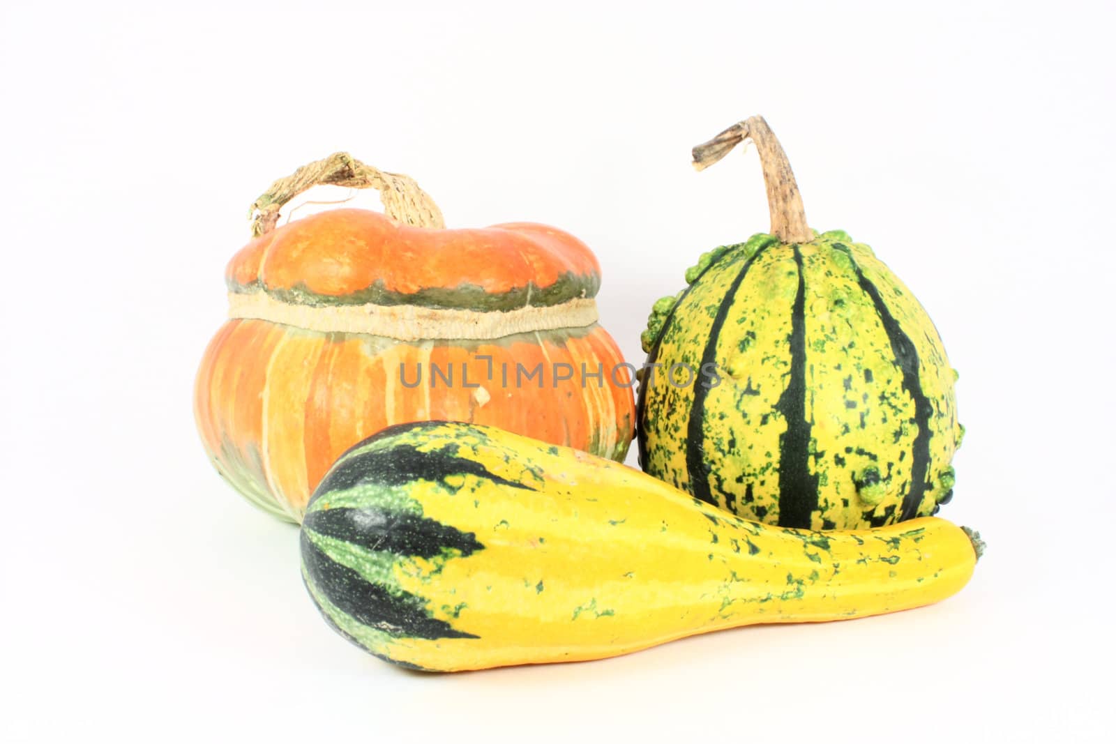 Three colorful decorative gourds, isolated