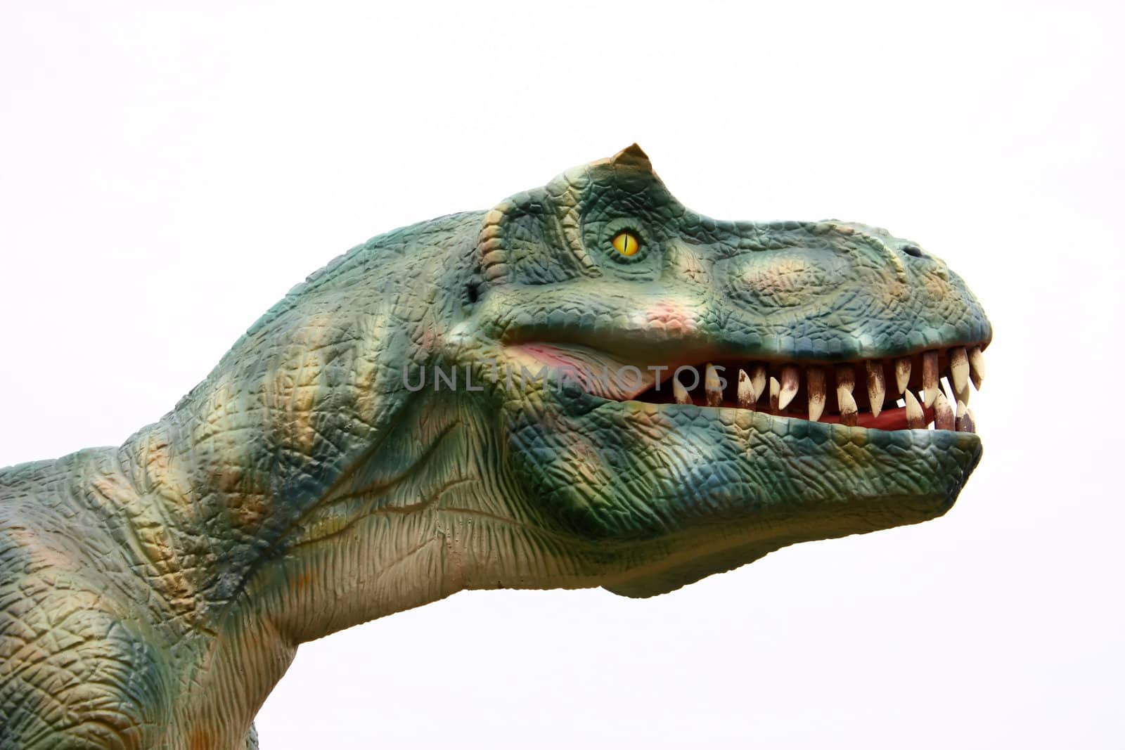 Head of vicious dinosaur as isolated object