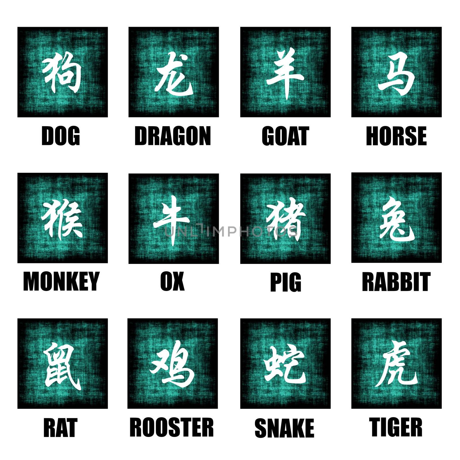 Chinese Zodiac Animals Lunar Astrology Art Set