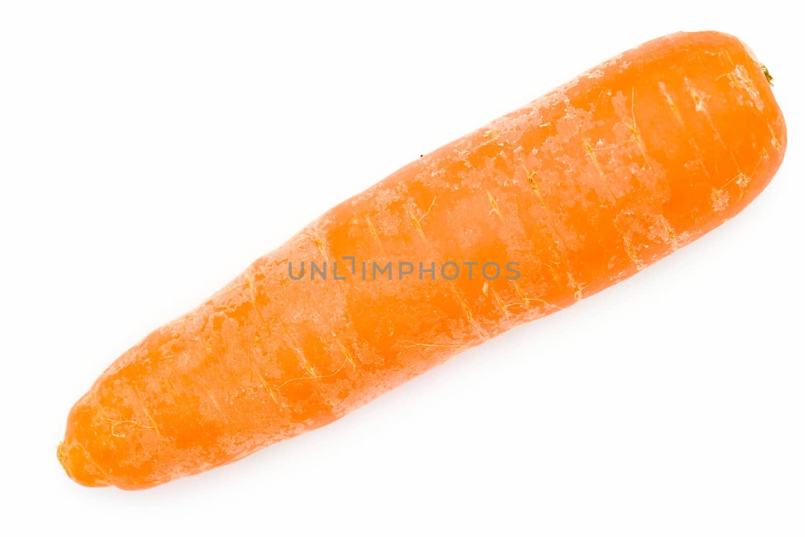 Fresh carrot on a white background