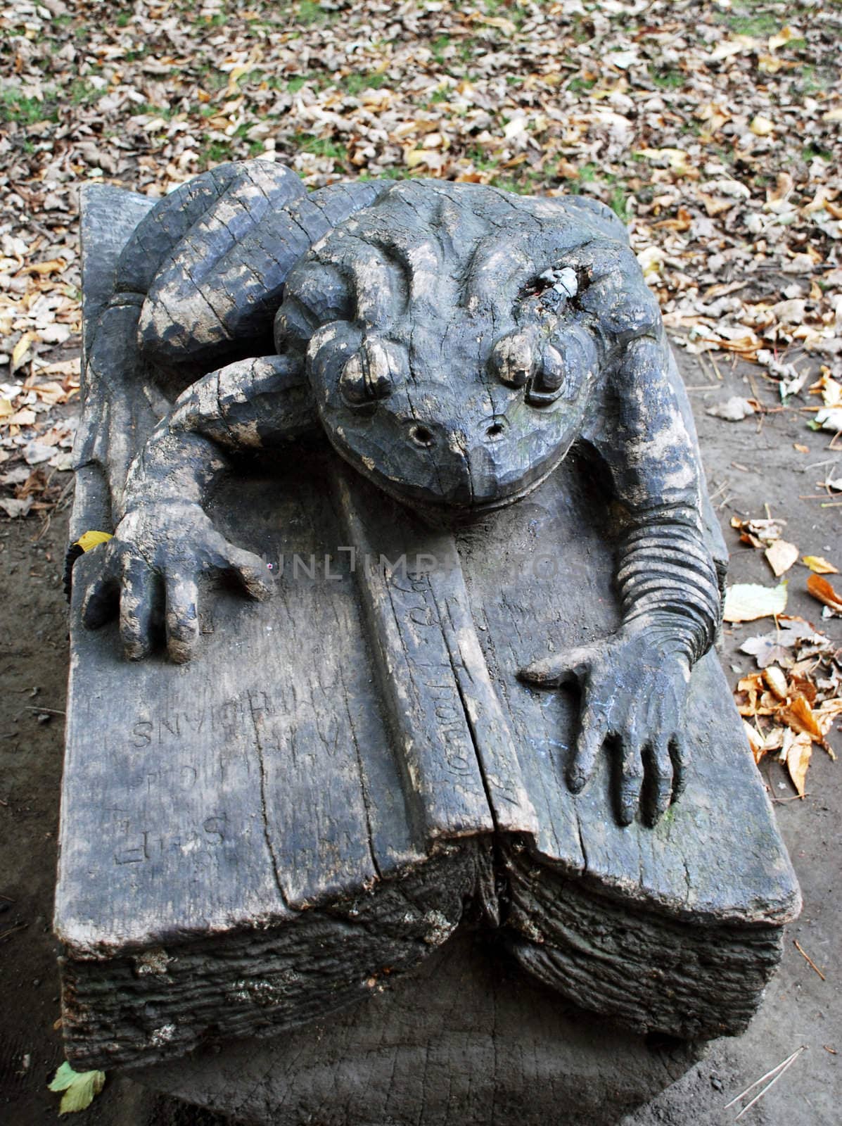 A photograph of a large wooden sculpture of a frog on an open book