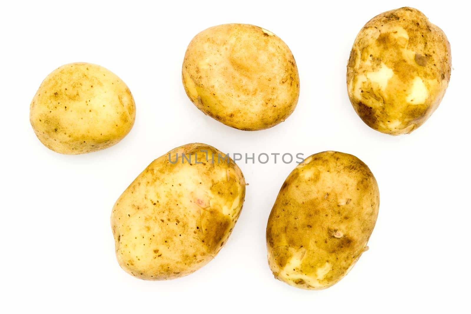 Some big potatoes on a white background.