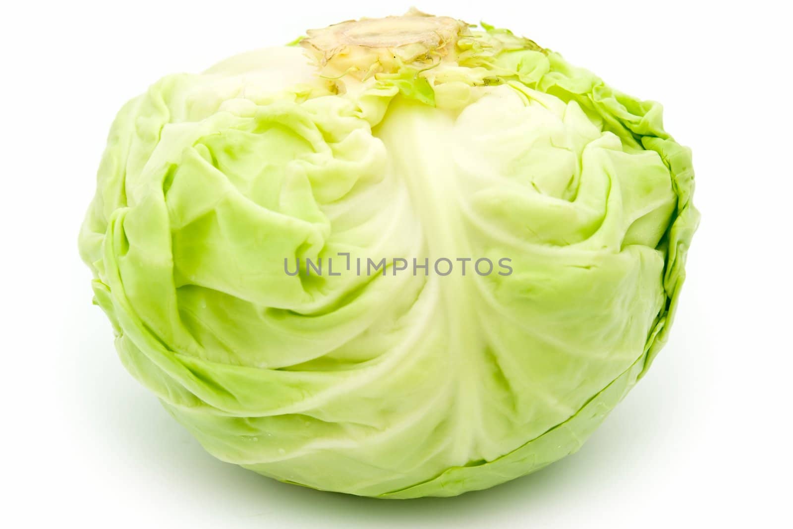 heads of cabbage on a white background.