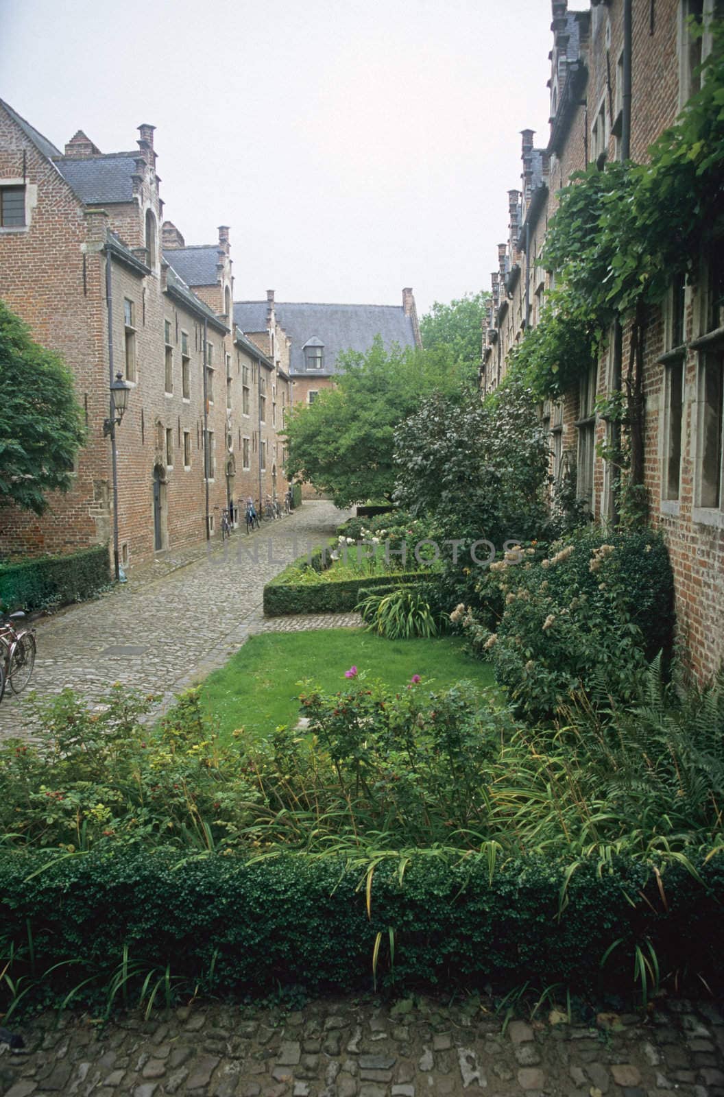 A peaceful afternoon at an abbey in Leuven, Belgium.