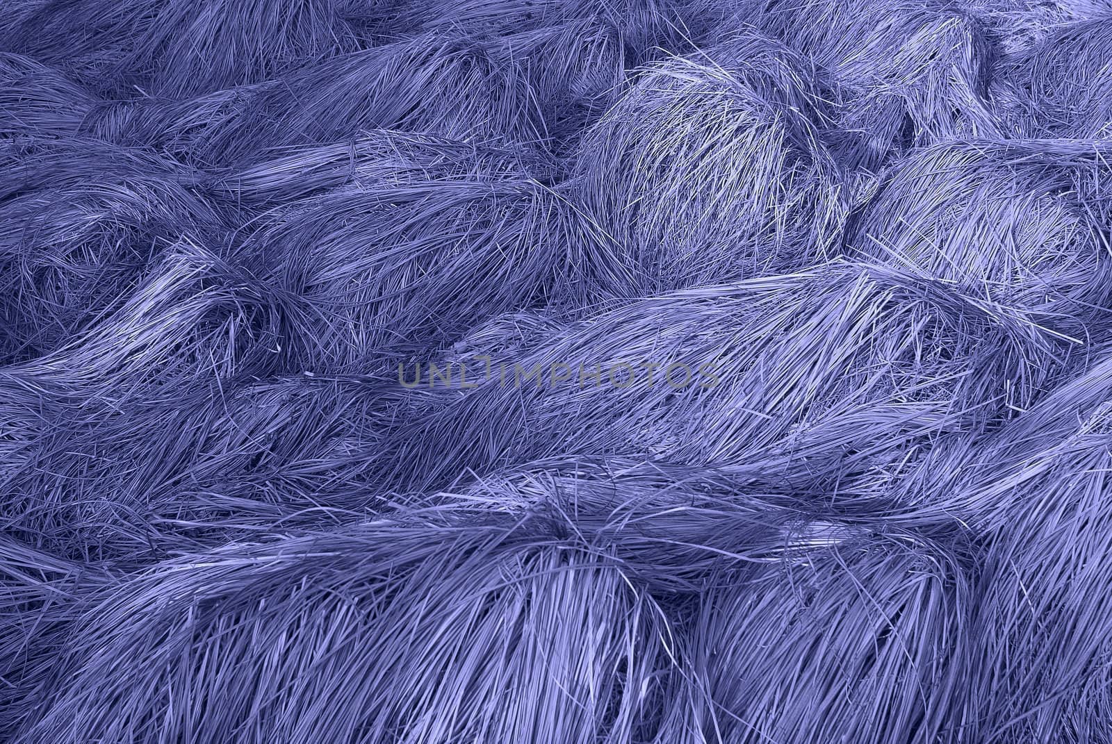 Blue grass by Kamensky