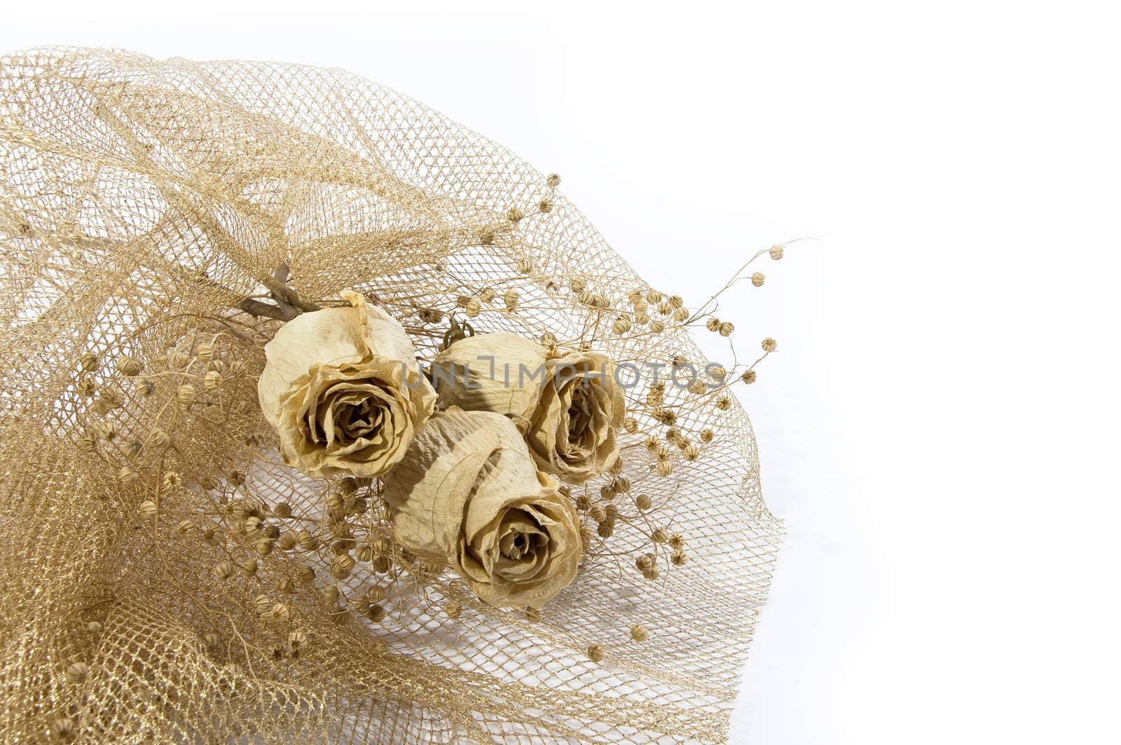 a bouquet of dry colors is in the beautiful wrapping