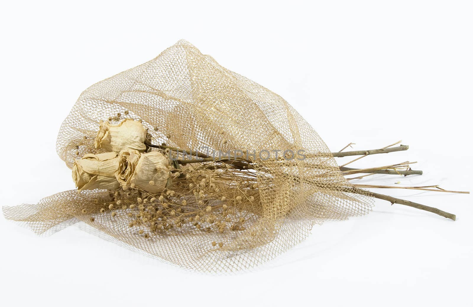 a bouquet of dry colors is in the beautiful wrapping