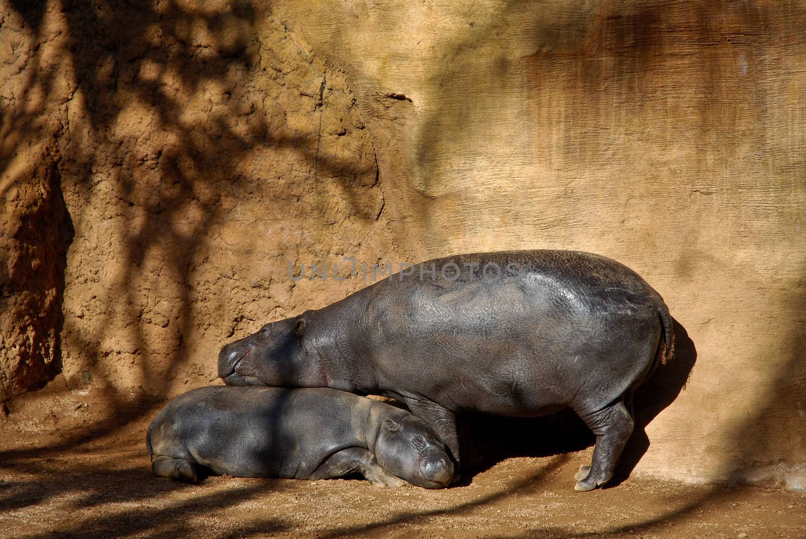 Mother and Son warming at the sun.