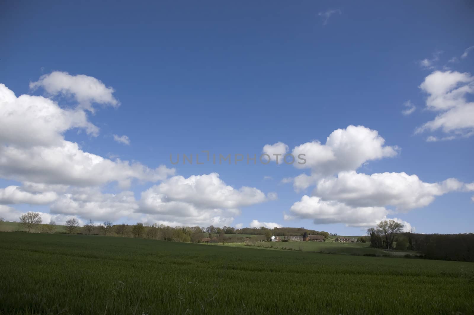 Green fields and cloudy blue sky in spring