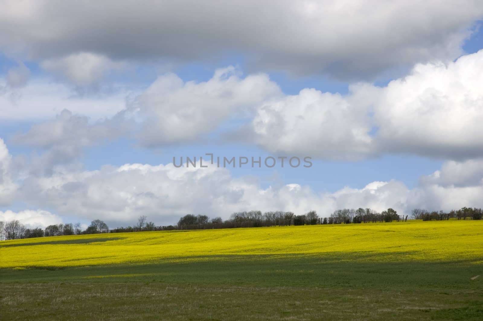 A view of farm land in Kent