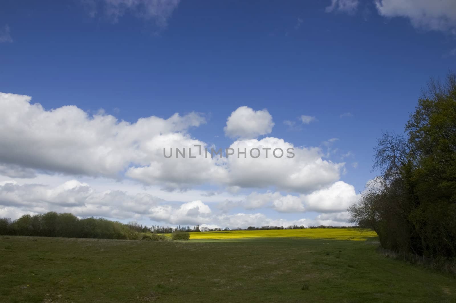 A view of farm land in Kent