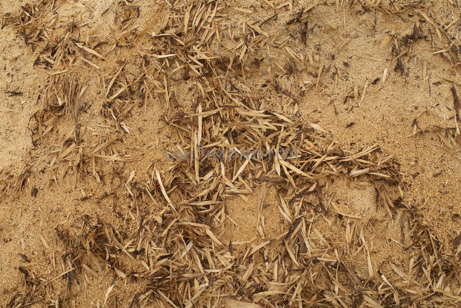 Photo of a heap of sawdust of the different form