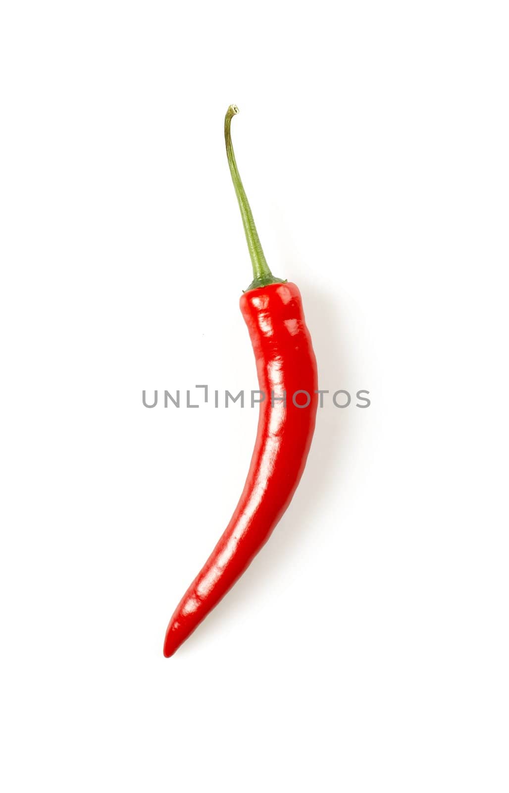 Isolated shot of red hot chilli pepper on white background