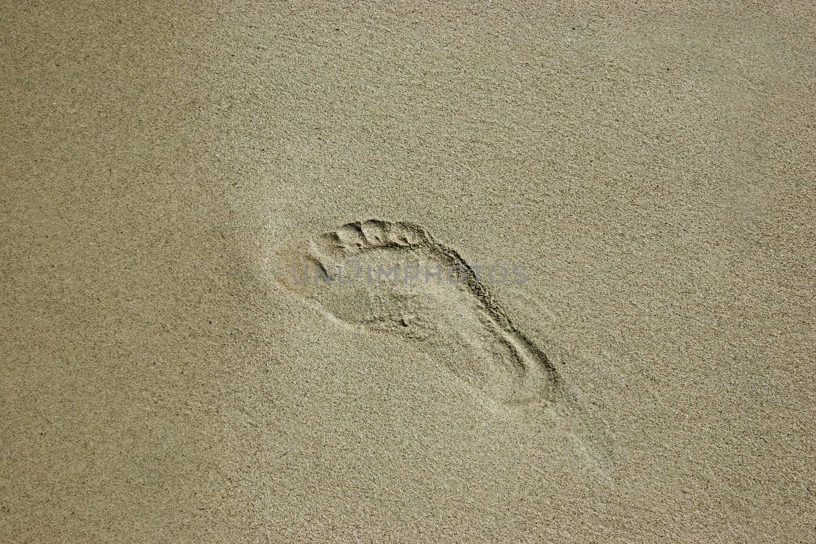 single footprint left in the sand on a beautiful beach