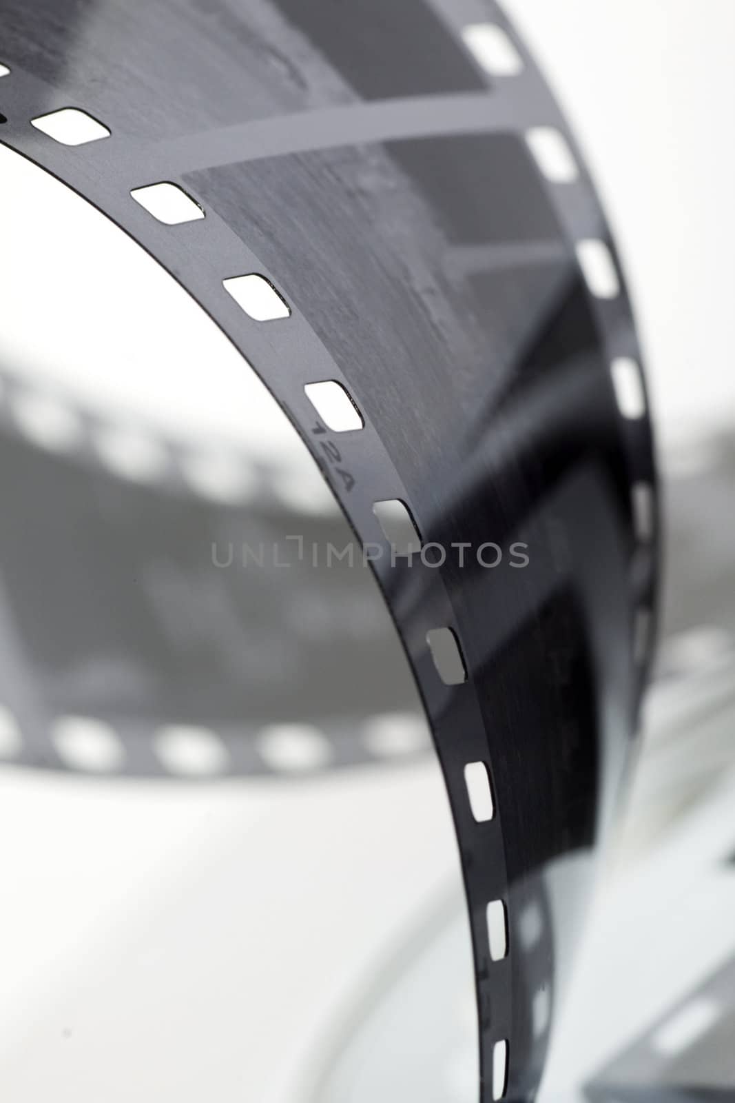 black and white negative film strip