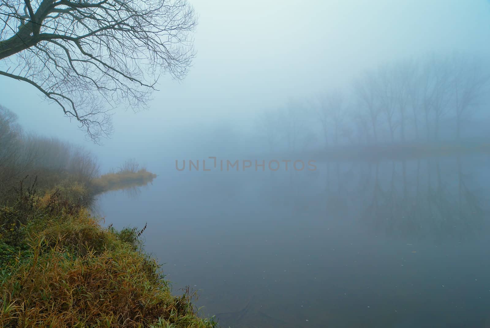 The river in a fog. Autumn morning. Cold color.