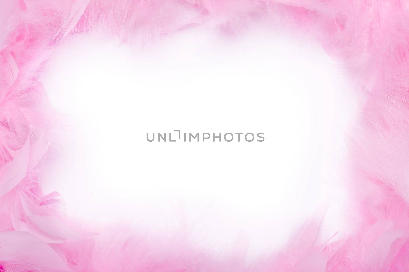 Pink feather boa frame