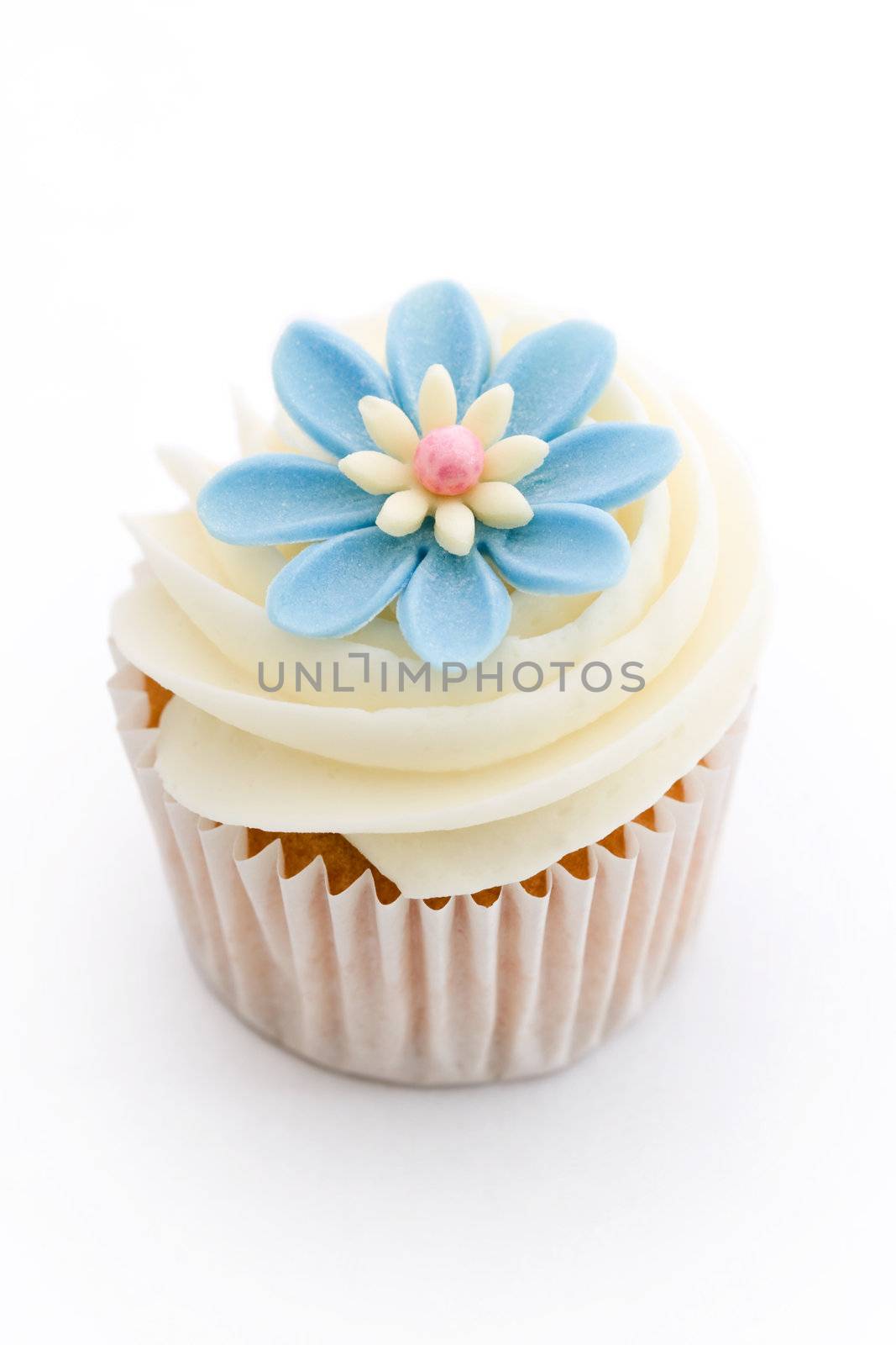 Flower cupcake isolated against a white background