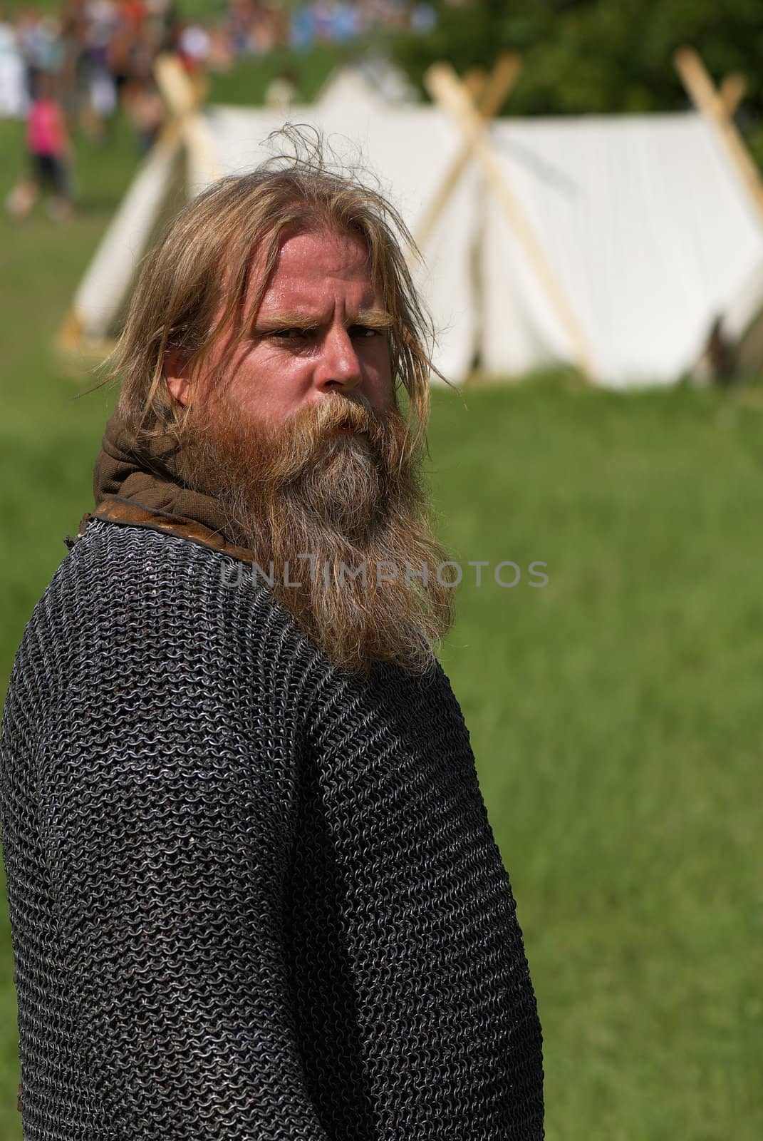 Viking by Kamensky