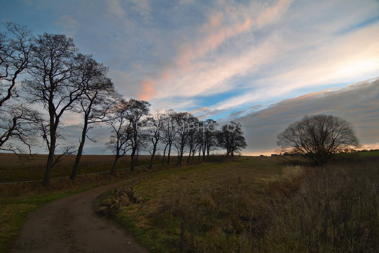 Photo of a rural landscape.Early autumn morning.