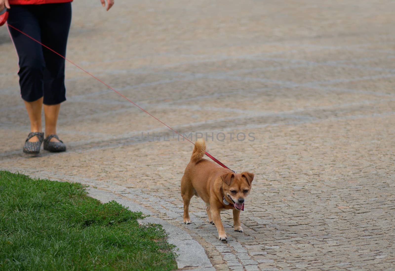 Walking by Kamensky