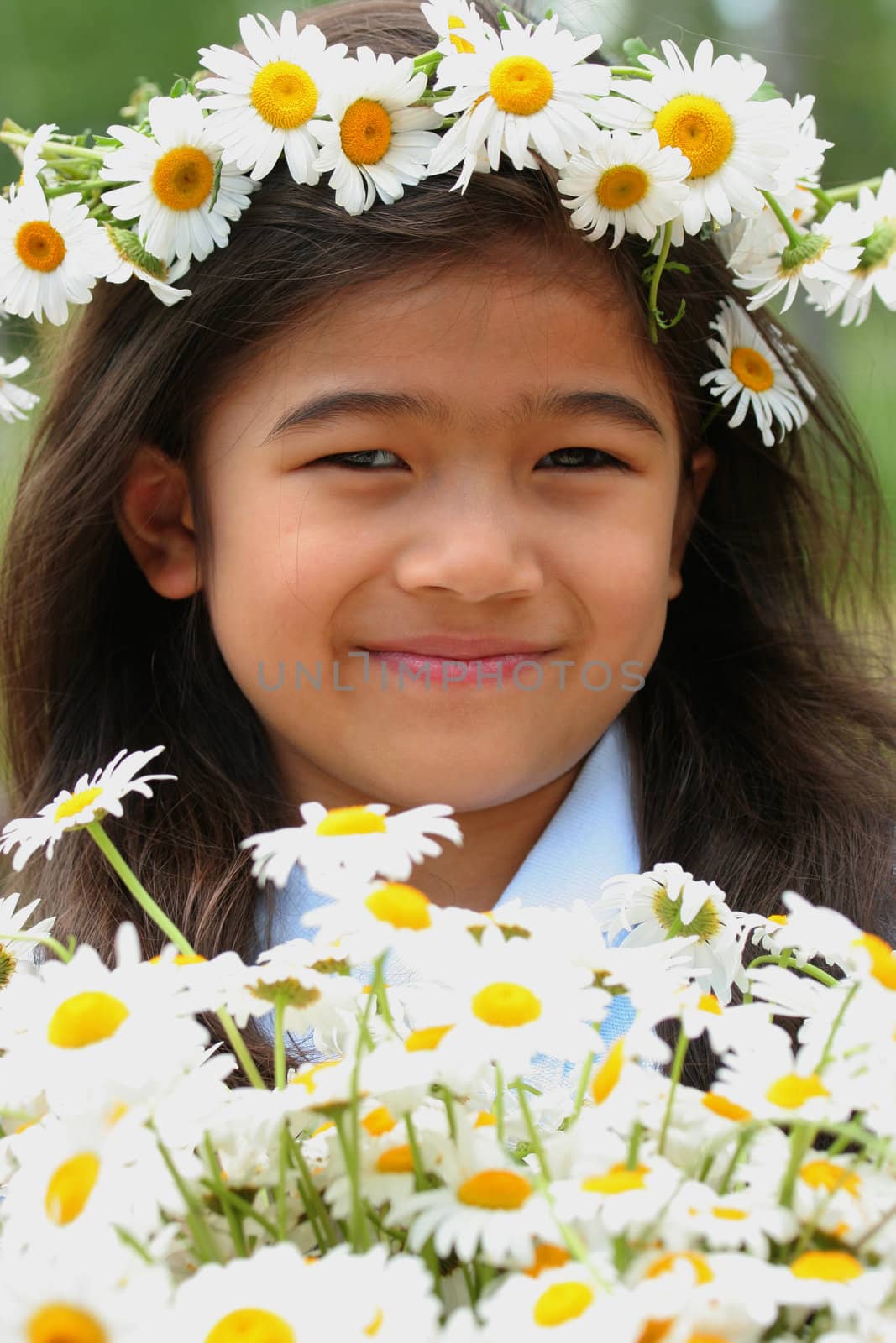 Beautiful little girl with crown of daisies