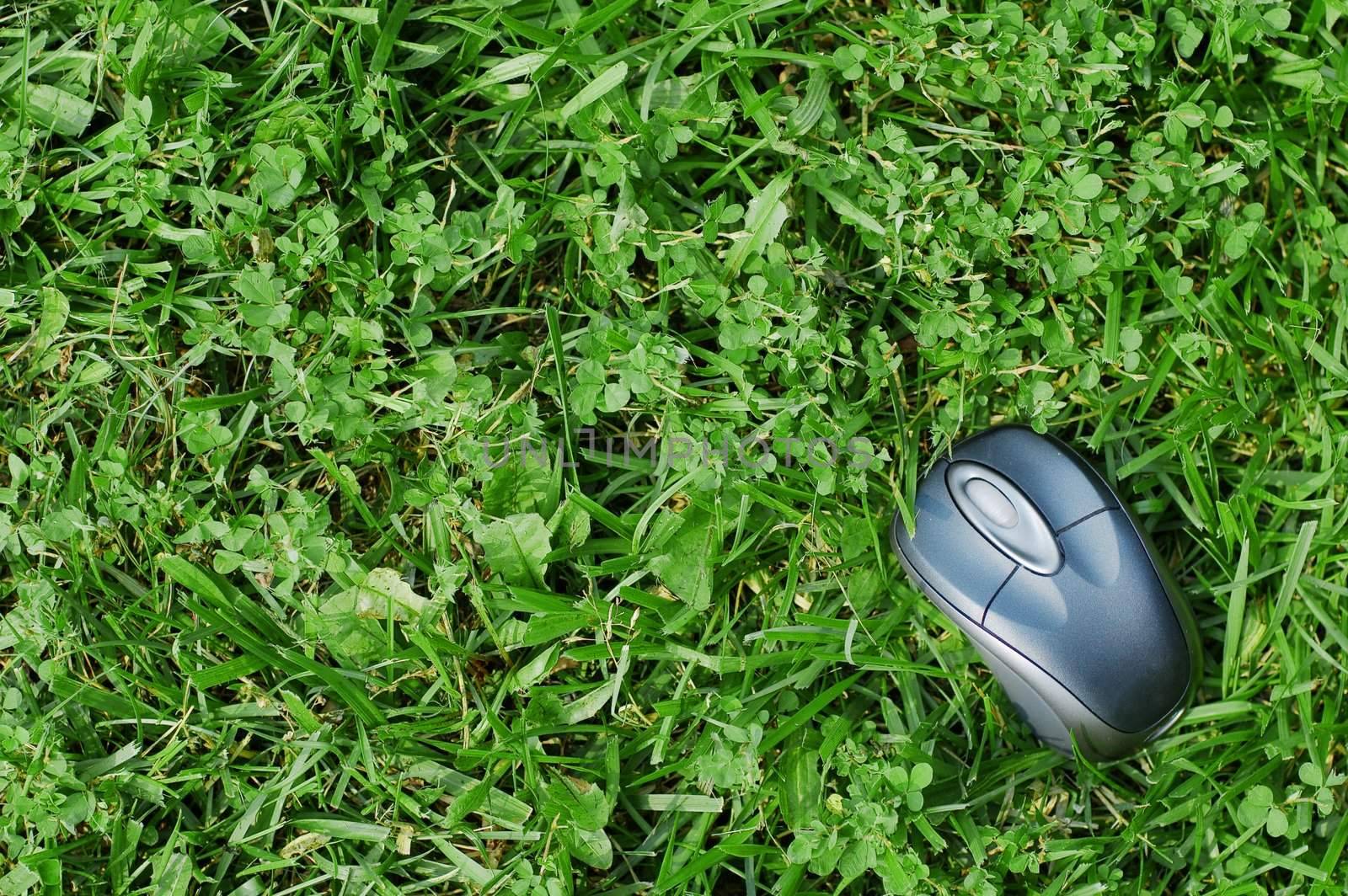 Wireless mouse on green grass.