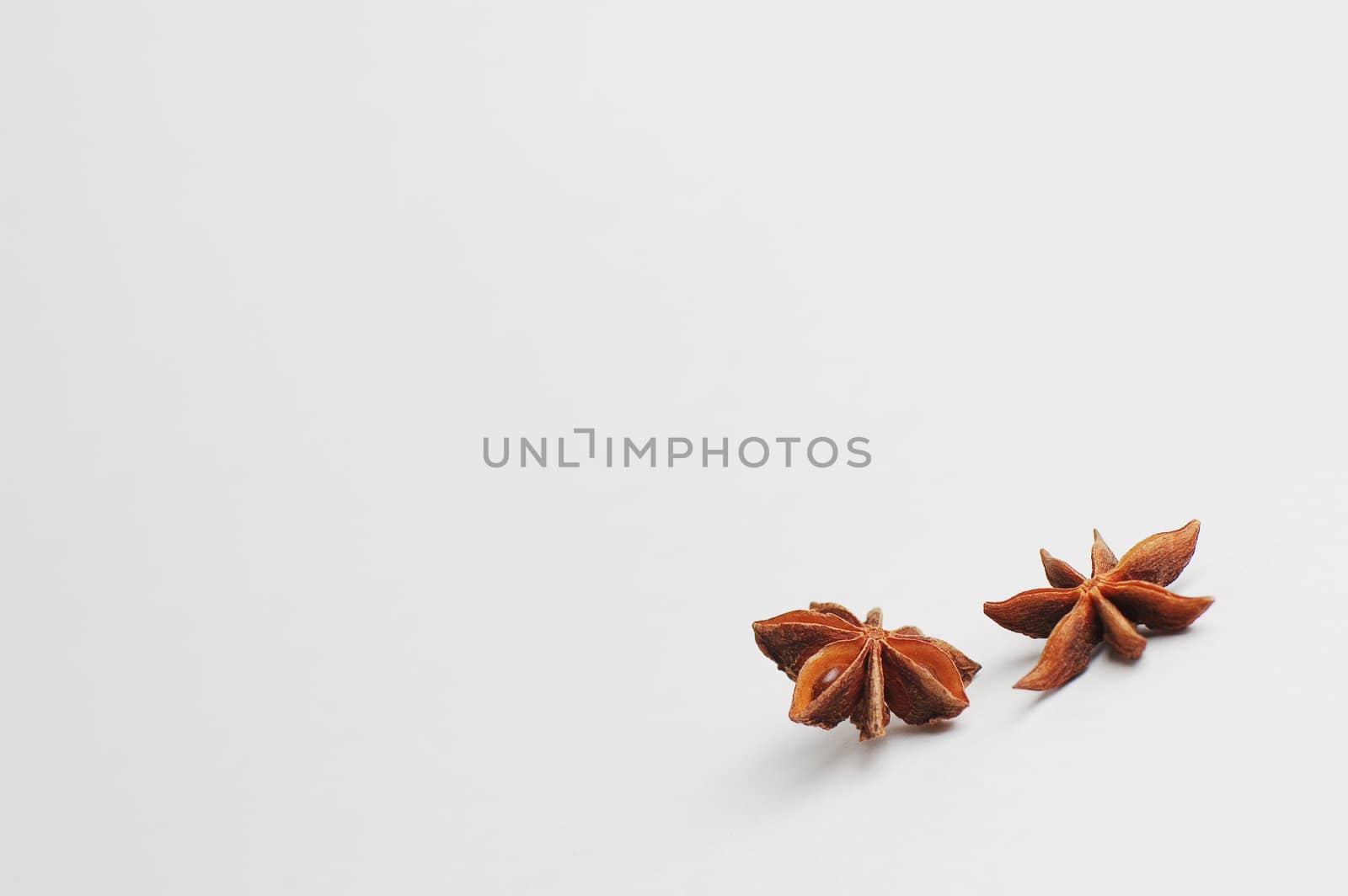 Anise isolated on white, shot from an angle.