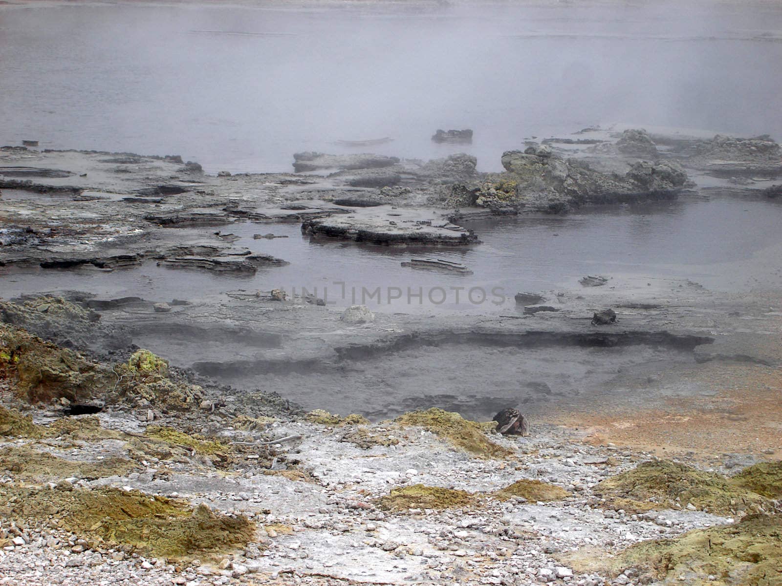 Boiling Pools of Geothermal Activity at Hells Gate, New Zealand