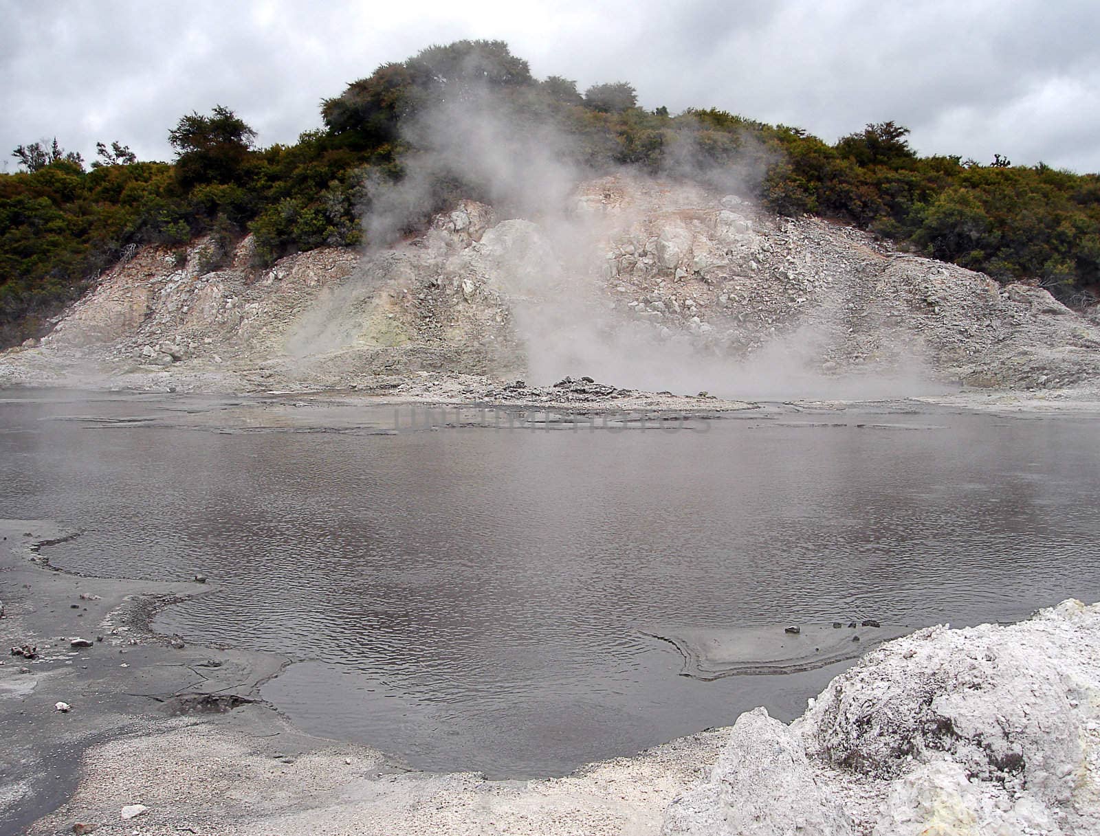 Boiling Water, Steam and Sulphur Gas, Hells Gate Thermal Reserve, New Zealand