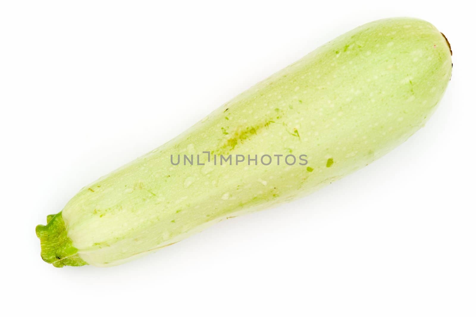 The vegetable marrow on a white background.