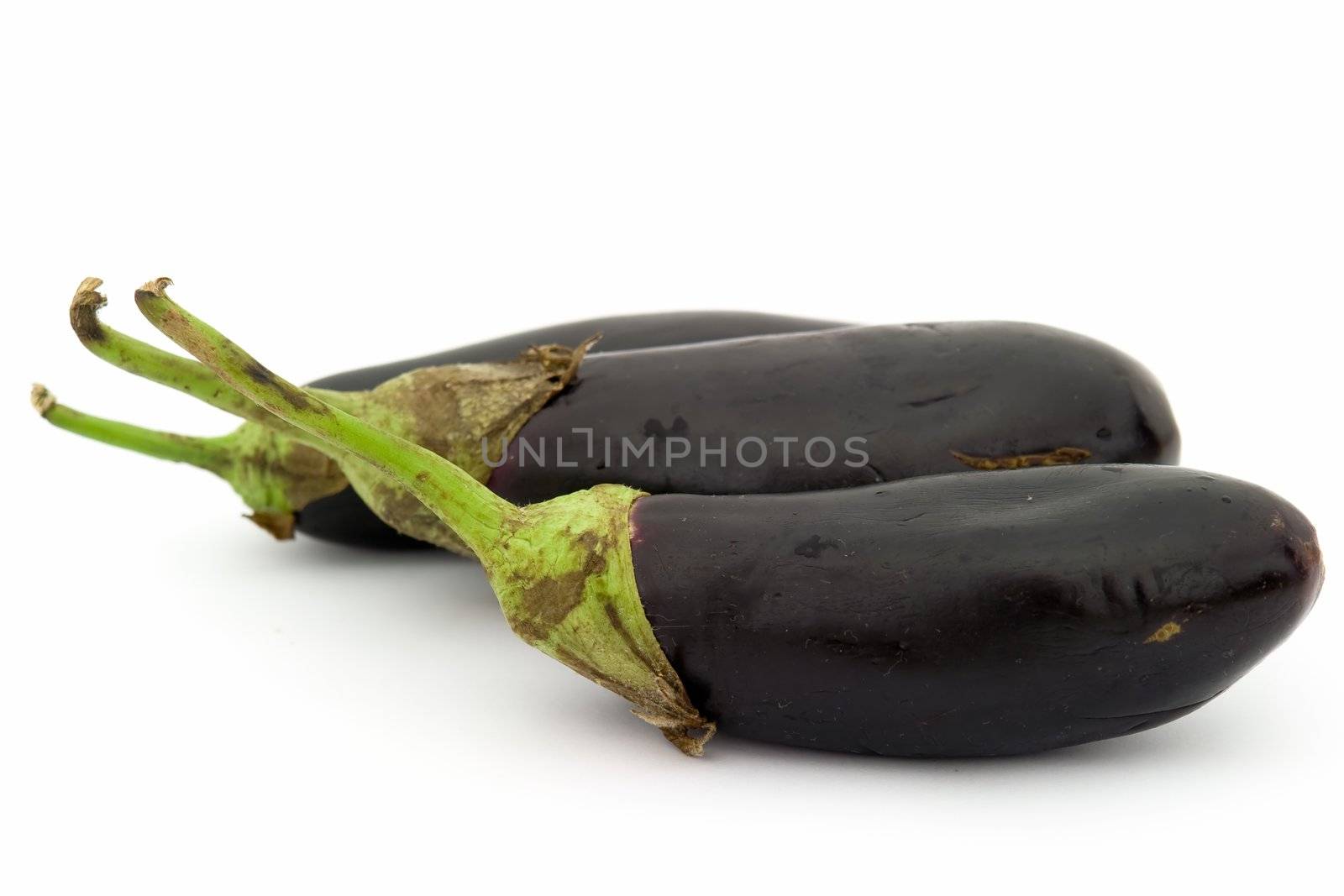 Some big eggplants on a white background.