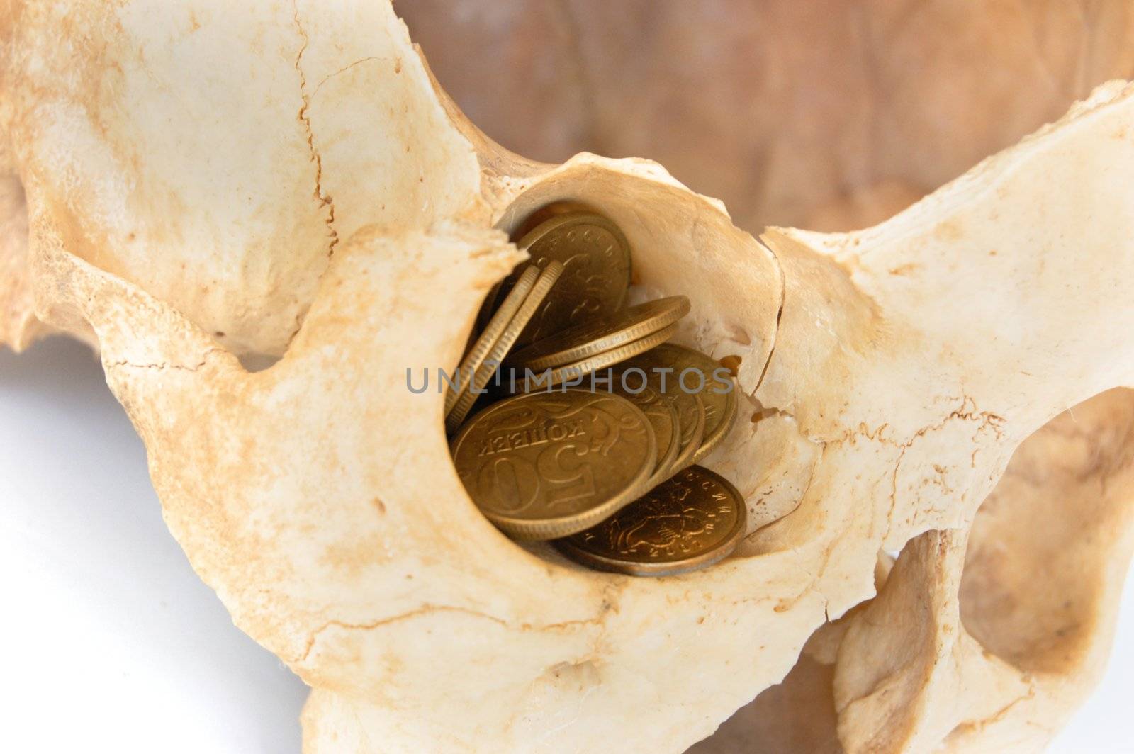 Old broken skull against white background with gold coins in eye socket