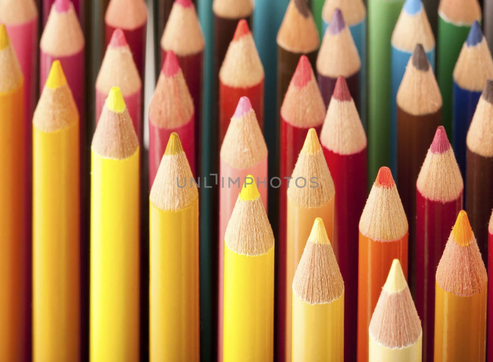 Close up of colored pencils