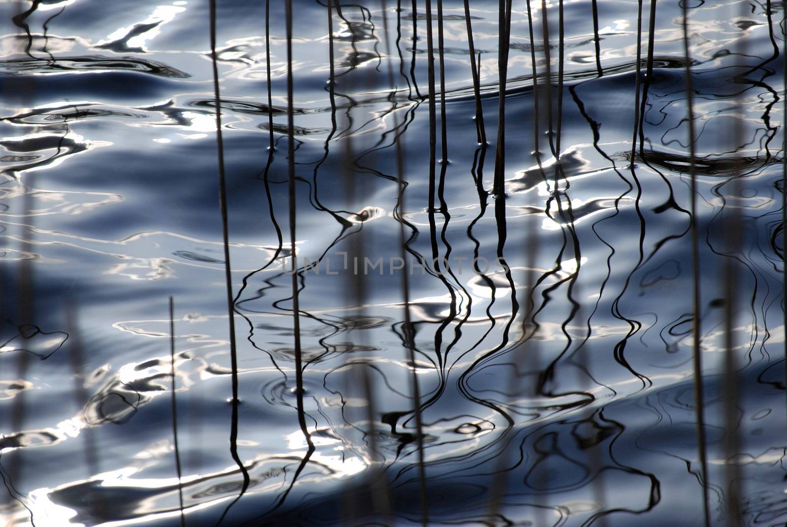 Water impressions by Jule_Berlin