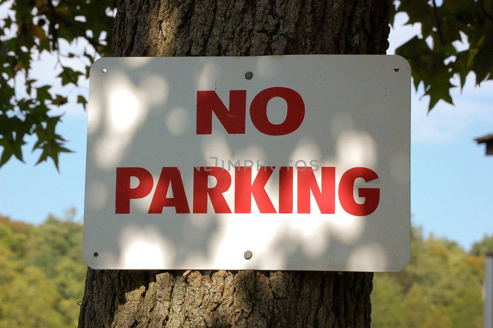 No Parking Sign Nailed Onto A Tree by RefocusPhoto